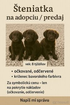 Krásne šteniatka – kríženci bavorského farbiara