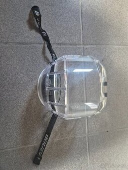 plexi Bauer