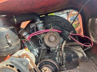 Wv beetle