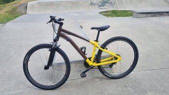 Pánsky bicykel - 1