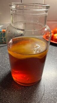 Kombucha SCOBY + štartér