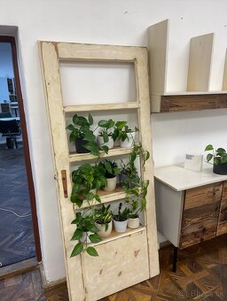 Vintage dvere premenené na stojan na kvety