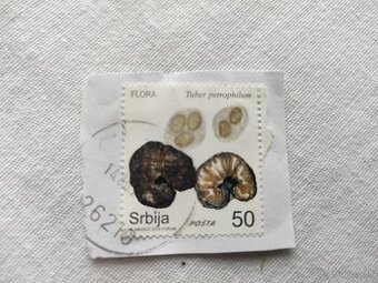 Srbsko (Srbija), San Maríno