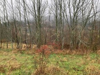 Predám pozemky v Hriňovej