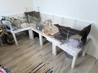 Klietka extra veľká - pre domáce hlodavce - 1