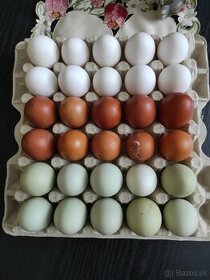 domáce vajíčka