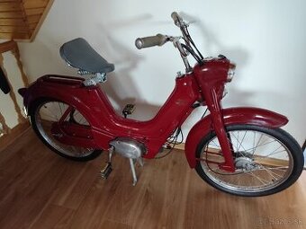 Jawetta 551