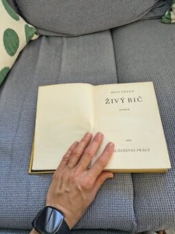 Živý bič (Mila Urban)