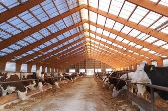 DOJIČ / DOJIČKA KRÁV / NAHÁŇAČ KRÁV