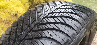 GOODYEAR , ZIMNA, CELOROCNA, 205/55 R16