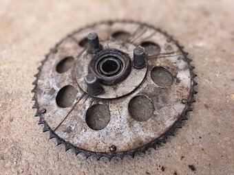 Rozeta jawa 20 pionier