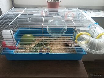 Škrečok + klietka