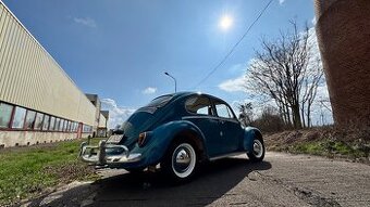 Volkswagen Beetle 🚙