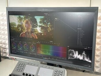 EIZO CG319X