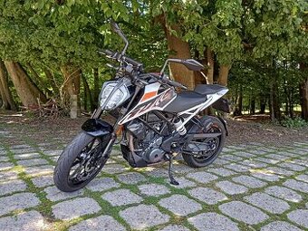 KTM Duke 390 - 2022