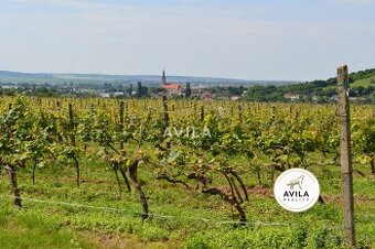 NA PREDAJ: vinohrad o výmere 4740m2 - Horné Orešany