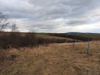Na predaj pozemok v Prietržke, 2881 m2, okr. Skalica - 1