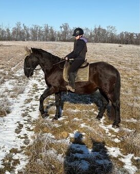 Kobyla s PP aj pre zaciatocnika