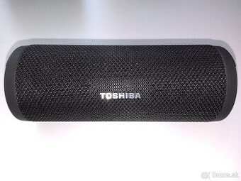 Toshiba TY-WSP102 - 1