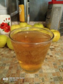 KOMBUCHA čajová huba plus Návod