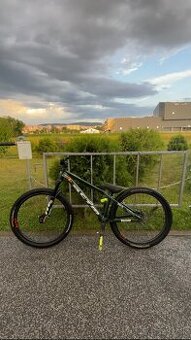 Ctm dirt king expert