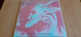 metal Lp - ACCESSORY - Within Your Mind - 1