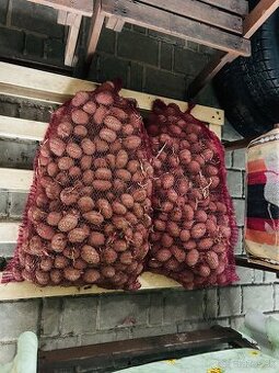 Predám červenép sadbové zemiaky, odroda CAMEL 2x25kg
