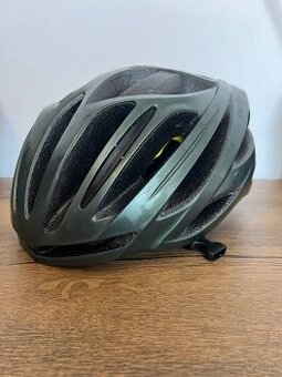 Specialized Echelon II - Oak Green Metallic/Black Reflective
