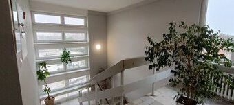 Prenájom kancelárske priestory 18,5m2, Galanta