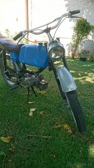 Jawa mustang