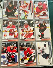Hokejové kartičky - Upper Deck Series