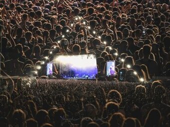 Kúpim 2x lístok na Grape festival 2025 vo fyzickej forme