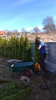 Tuja Smaragd, vavrínovec, červienka, gaštan - Ružomberok