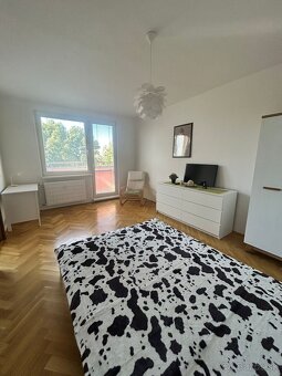 Prenájom 1 izb. byt ,ul. Tríbečská, Nitra Chrenová
