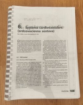 Anatómia ľudského tela, Peter Mráz