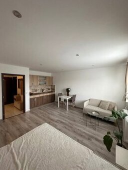 Prenajmem 1-izbový byt v Trenčíne