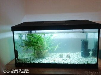 Predam akvárium