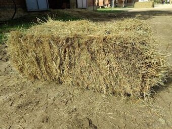 Predám seno v malých balíkoch. - 1