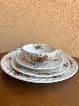 Anglický porcelán s farebným motívom ovocia a kvetov