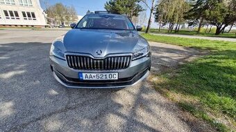 Profesionálny osobný šofér s vozidlom