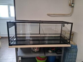 PREDAM TERARIUM