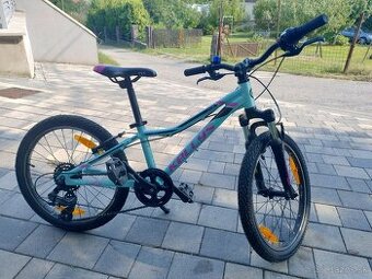 Kellys Lumi 50 pink blue