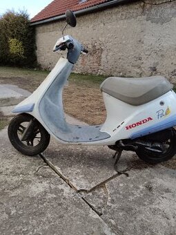 Honda Pal