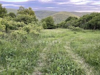 Na predaj rekreačný pozemok 716 m2 vo vinohradníckej...