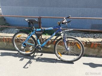 AUTHOR BASIC horský bicykel