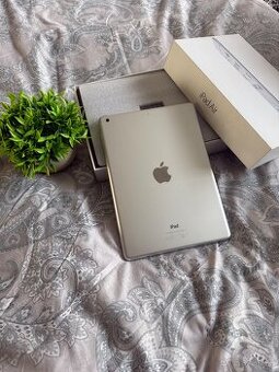 iPad Air SILVER