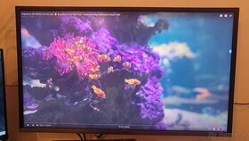 Samsung 32" 4k monitor - 1
