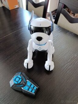 Robopes