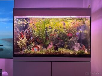 komplet akvárium 175l - 1