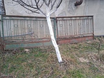 Brana, branicka